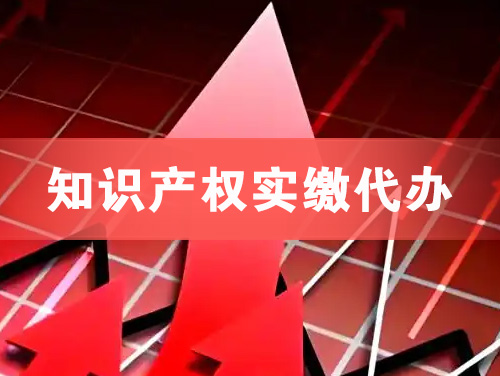 庄河知识产权实缴资本代办